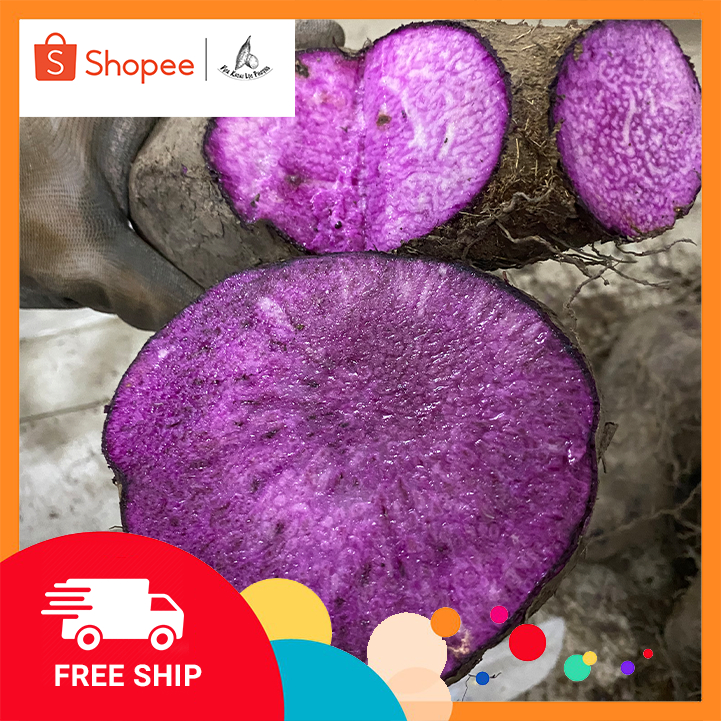 Khoai Mỡ Tím (1kg) [GIAO HOẢ TỐC &amp; TOÀN QUỐC] (Purple Yam)