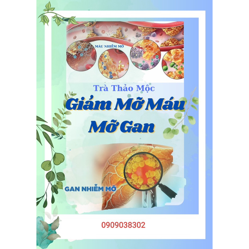 Trà hạ mỡ máu, mỡ gan - 40 túi lọc
