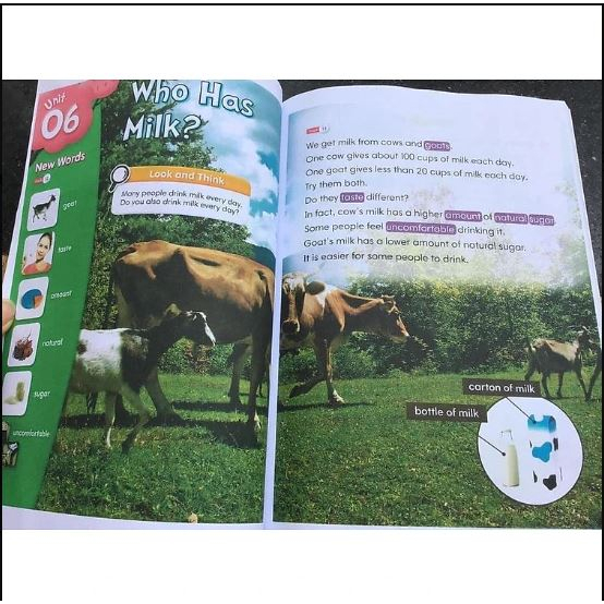 Basic Reading 1200 Màu Tặng kèm file nghe