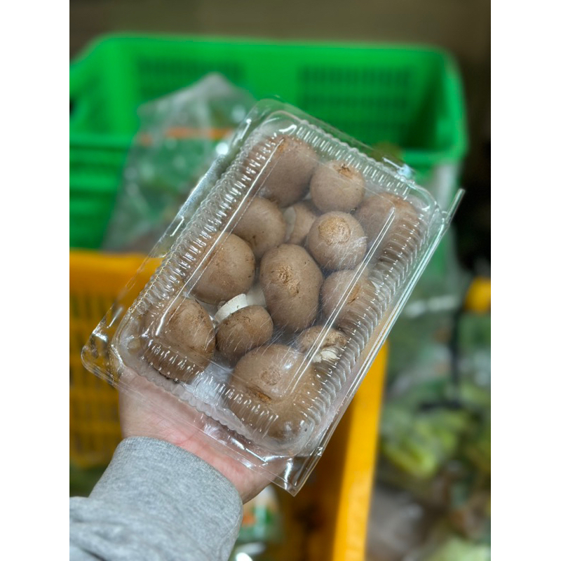 Nấm mỡ nâu Đà Lạt