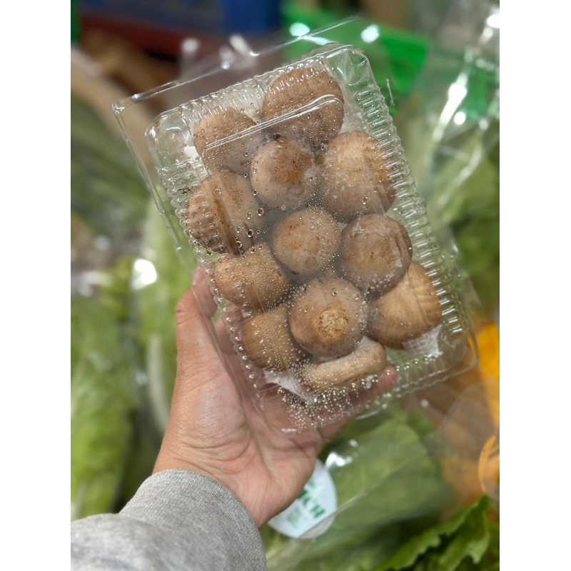 Nấm mỡ nâu Đà Lạt