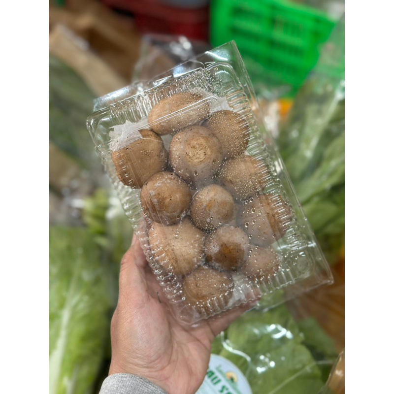 Nấm mỡ nâu Đà Lạt