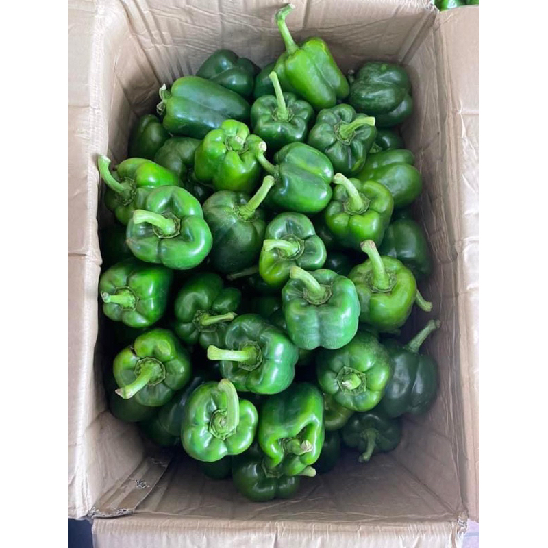 Ớt chuông Đà Lạt