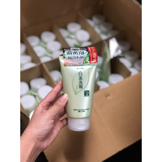 Sữa rửa mặt trà xanh Rohto Shirochasou Green Tea Foam