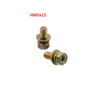 Ốc hm5x12 có long đen vênh