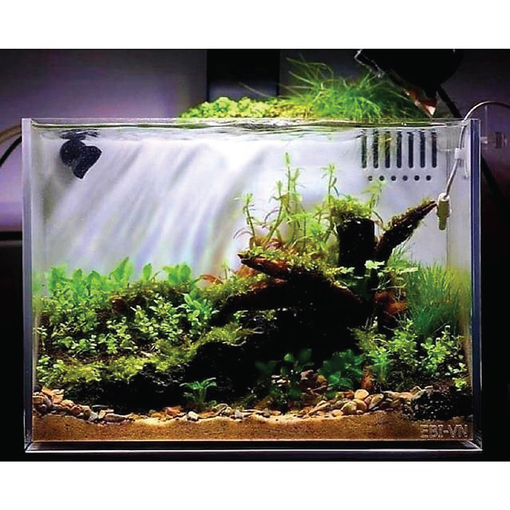 Bể cá Cubic 20;25 lọc vách, chất liệu Mica/ AcrAcrylic siêu trong, siêu bền