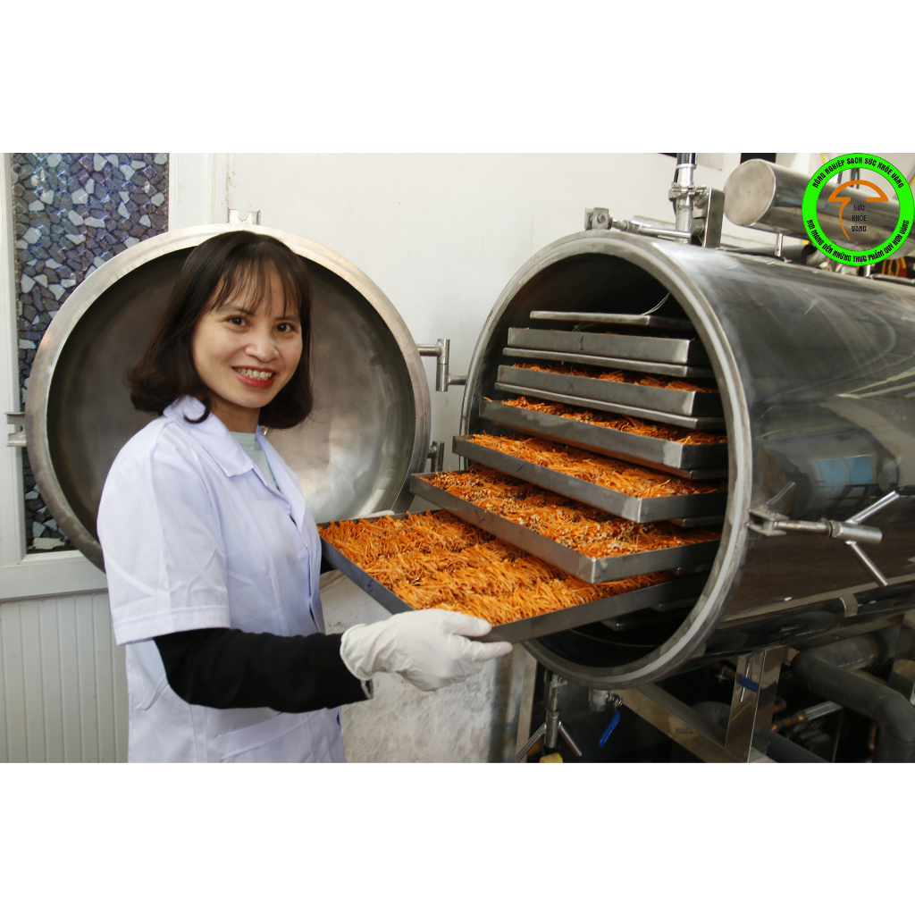 Đông trùng hạ thảo sấy thăng hoa sức khỏe vàng hộp 50gram