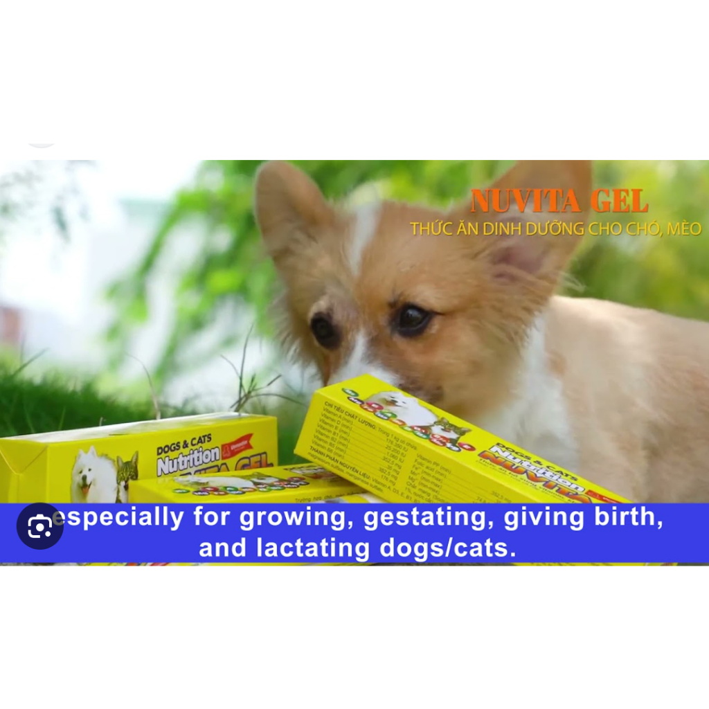 Gel dinh dưỡng bổ sung vitamin và khoáng chất cho chó mèo vemedim-Nuvita gel