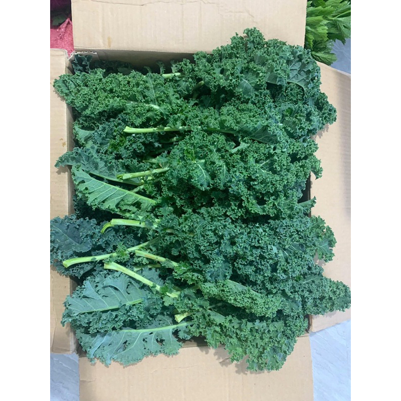Cải kale sạch Đà Lạt