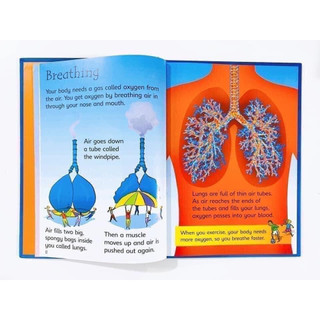Sách - Usborne Beginners Science- bộ 10 cuốn