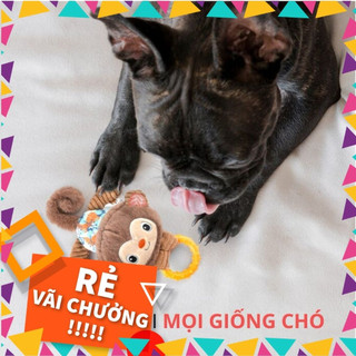 Đồ chơi cho chó hình con khỉ