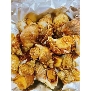 ỐC BULOT 1Kg size 50-80 (hoả tốc HCM)