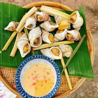 ỐC BULOT 1Kg size 50-80 (hoả tốc HCM)