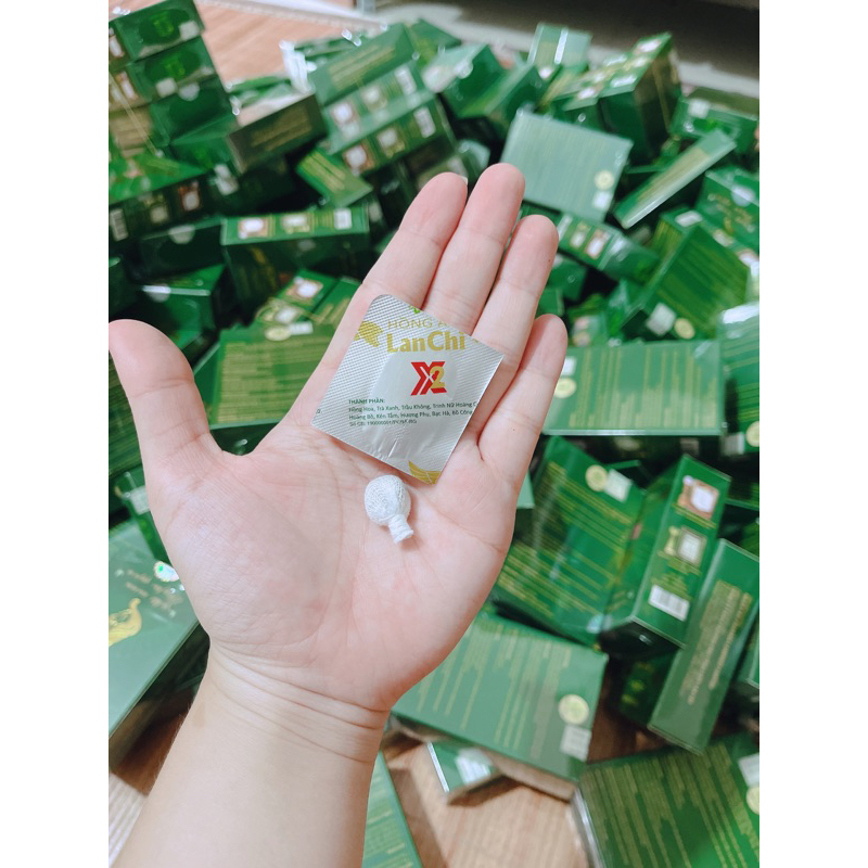 HỒNG ÂM LAN CHI 2kén
