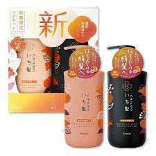 ⚠️FREESHIP⚠️ Set Gội Xả Kraice Ichikami Thảo Dược Chiết Suất Mơ 500ml