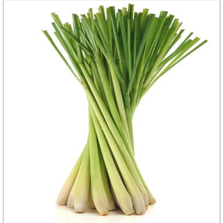 [Chỉ Giao HCM] Sả Cây - 100g