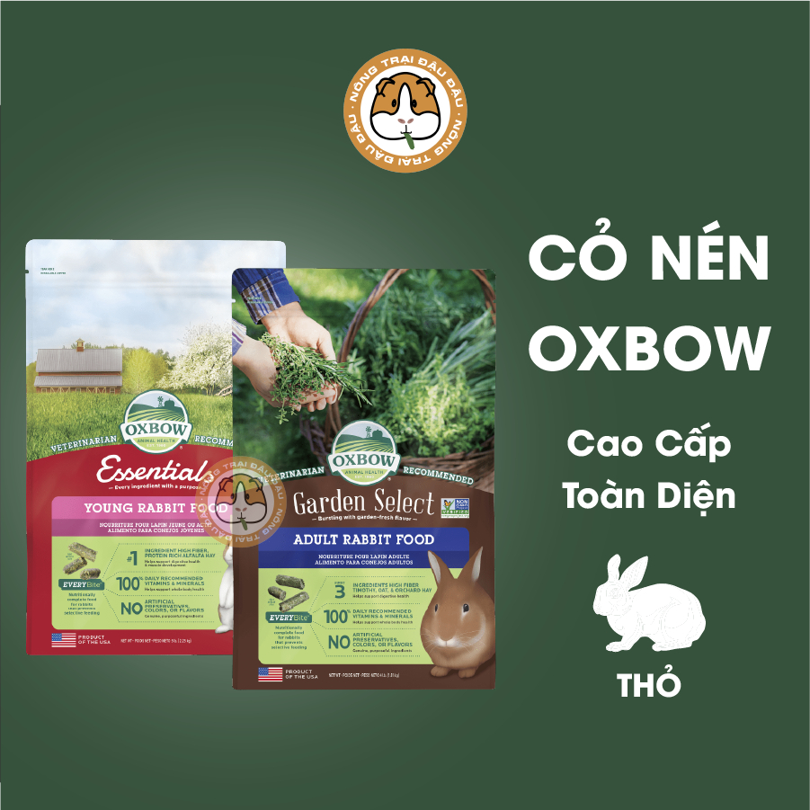Cỏ Nén Cho Thỏ Oxbow Essentials Cao Cấp Xuất Xứ Mỹ