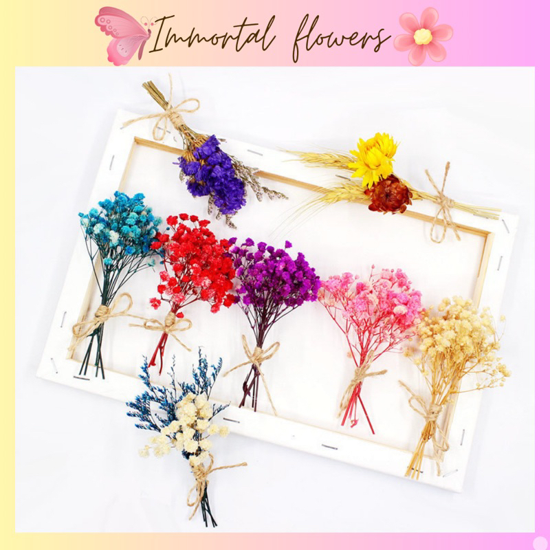 Bó Hoa Baby khô, Hoa khô bó nhỏ nhiều màu giá rẻ- Hoa khô trang trí quà tặng, thiệp, decor...