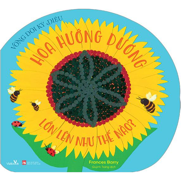 Sách - Vòng Đời Kỳ Diệu - Hoa Hướng Dương Lớn Lên Như Thế Nào?