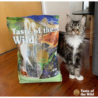 Thức ăn hạt cho mèo grain free - taste of the wild