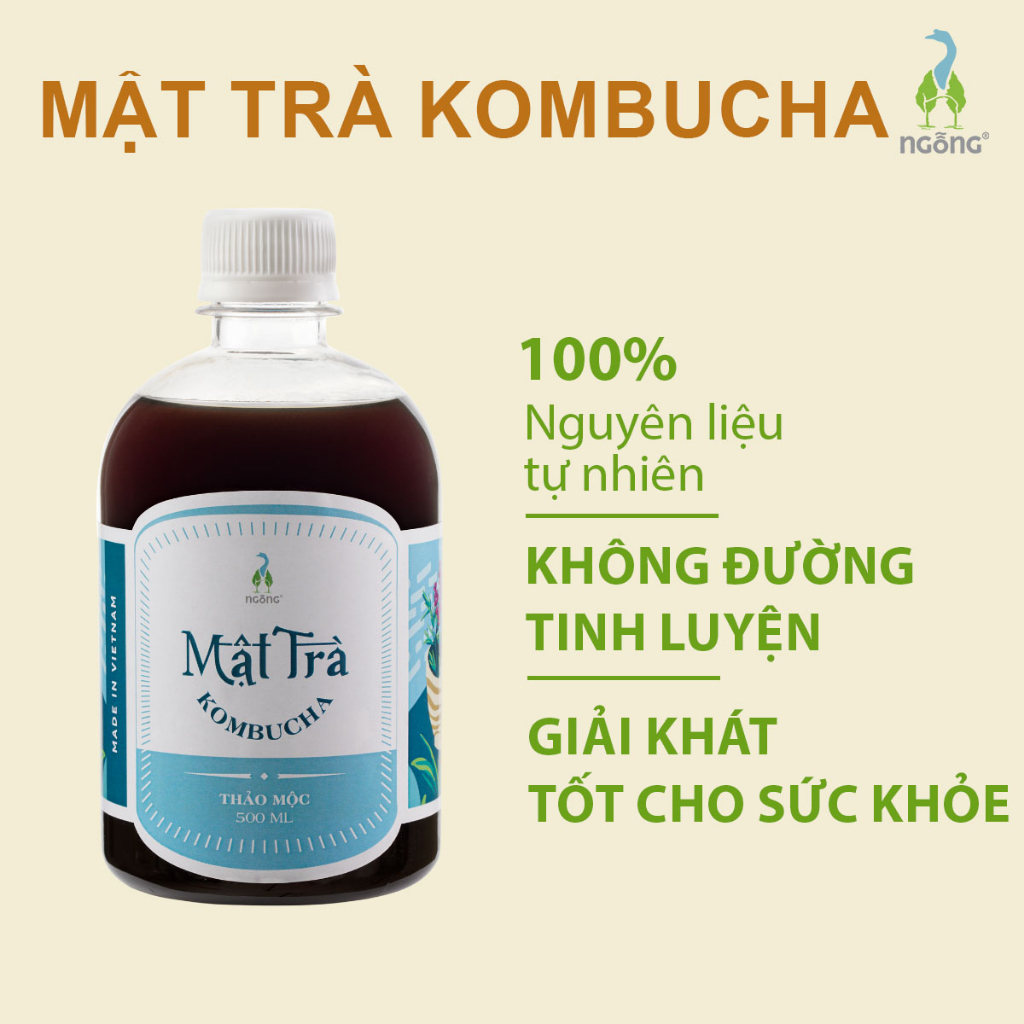Mật Trà Kombucha Thảo Mộc 500ml