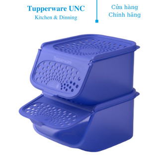 Bộ hộp bảo quản thực phẩm Tupperware Garlic N All 2.3L