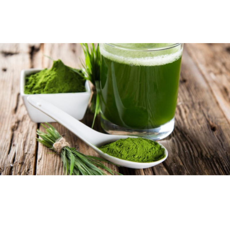 Tảo xoắn Spirulina Nhật Bản, viên tảo mẫu mới bảo vệ sức khỏe gói 300 viên