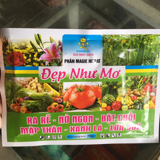 [HÀ NỘI] Phân bón lá Đẹp như mơ 70gr giúp RA RỄ - BẬT CHỒI - MẬP THÂN - LỚN QUẢ dùng cho HOA,RAU VÀ CÁC LOẠI CÂY TRỒNG