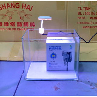 Bộ Bể Cá Kính Đúc 20cm Mini Để Bàn - Bể Cá Cảnh Mini