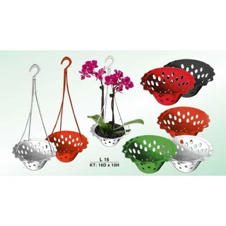 Chậu nhựa trồng lan phi 16 miệng bèo 3 màu