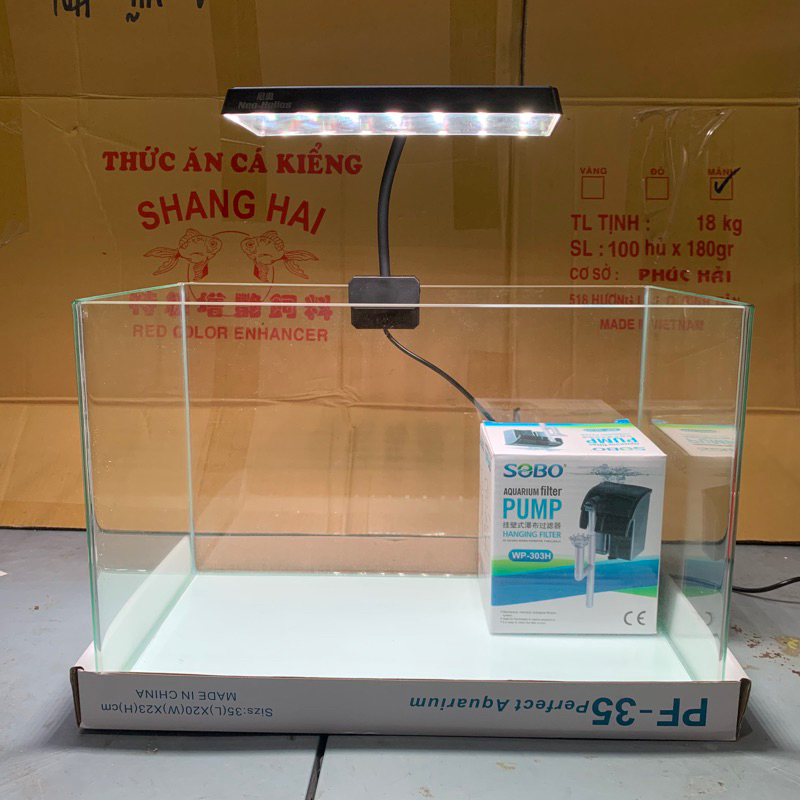 Bể Cá Kính Đúc 35cm Mini Kèm Đèn Lọc, Dài 35cm Rộng 21cm Cao 23cm - Bể Cá Cảnh Mini