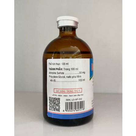 Bio-Atropin 100ml Chống co thắt, giảm đau