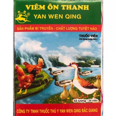 Viên ôn thanh 1 vỉ 24 viên