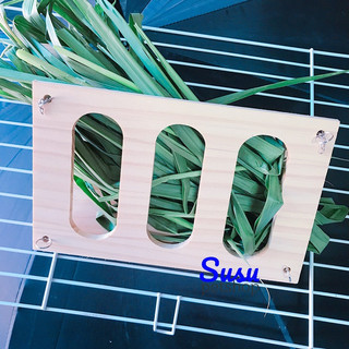 Máng Cỏ cho Thỏ, Bọ, Chinchilla