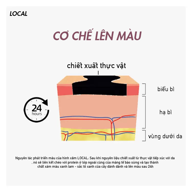 LOCAL  Hình Xăm 15 Ngày Mực Cao Cấp Chống Thấm Nước, Mồ Hôi