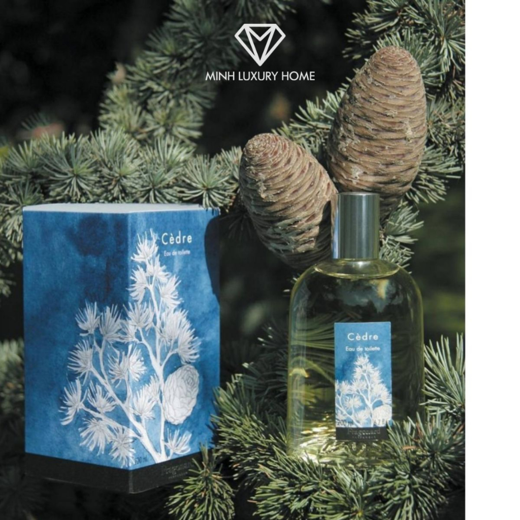 Nước hoa Unisex Pháp hương Gỗ tuyết tùng Cedre - EDT bản dùng thử 10ml - Nước hoa chiết 10ml chính hãng - M1.1