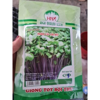 HẠT GIỐNG RAU MẦM CỦ CẢI ĐỎ