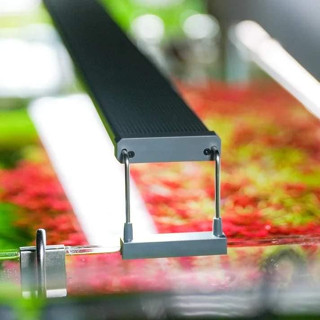 ĐènLed Chihiros B Series | Chỉnh APP | Điểm LED RGB | Bảo hành 6 tháng, phân khúc đèn giá rẻ cho hồ cá, thủy sinh