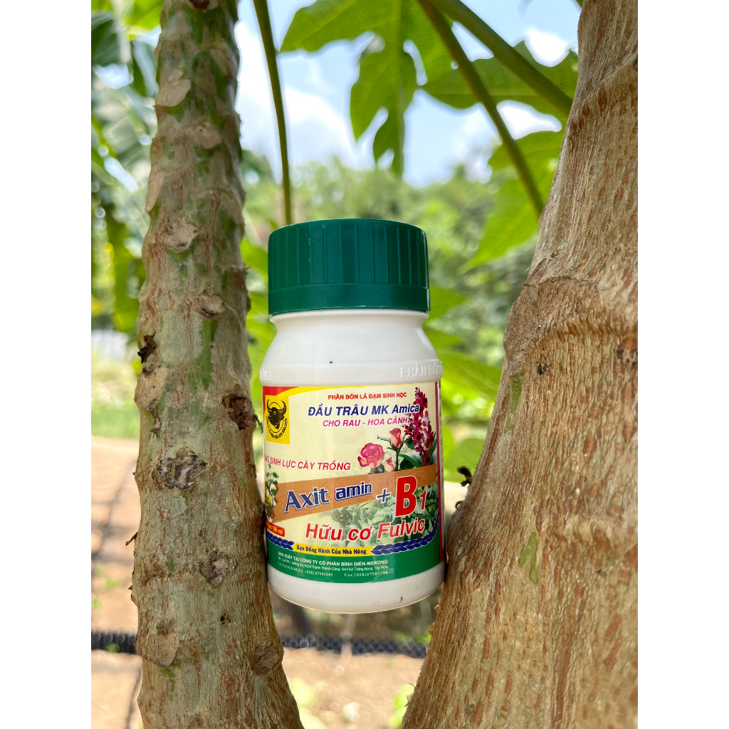Phân bón phục hồi cây cảnh, Phân bón đầu trâu B1 100ml, phân tăng sinh lực cây trồng
