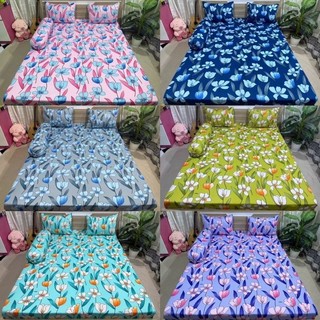 Combo 4 món drap thun Hàn Quốc