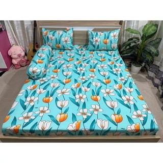 combo 4 món drap thun Hàn Quốc