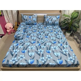 combo 4 món drap thun Hàn Quốc
