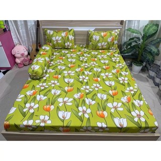 combo 4 món drap thun Hàn Quốc