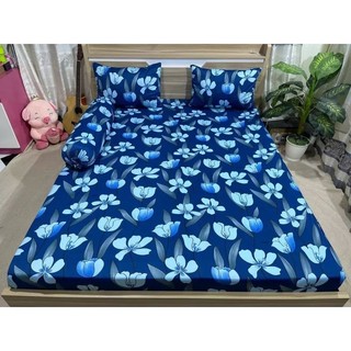 combo 4 món drap thun Hàn Quốc