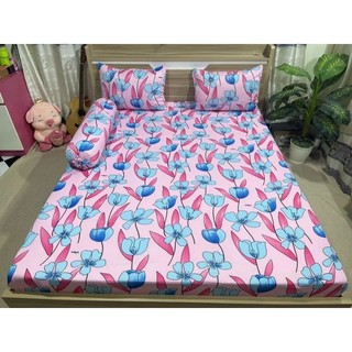 combo 4 món drap thun Hàn Quốc