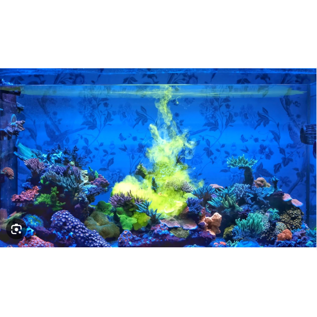 Thức ăn cho cho các loại san hô Reef energy Plus AB Red SEA