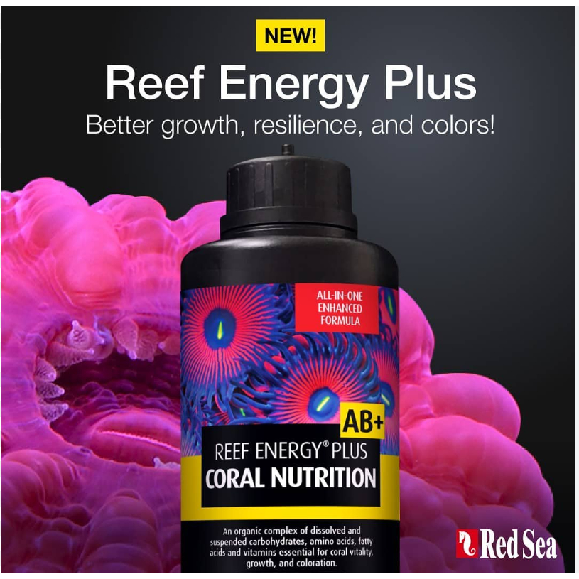 Thức ăn cho cho các loại san hô Reef energy Plus AB Red SEA
