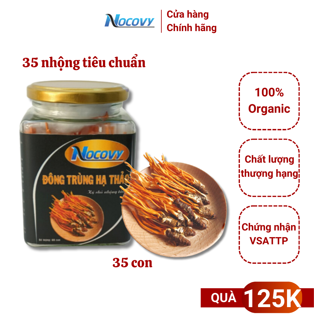 Đông trùng hạ thảo nguyên con nhộng tằm khô Nocovy sấy thăng hoa cam kết không vỡ nhộng tăng cường sinh lý