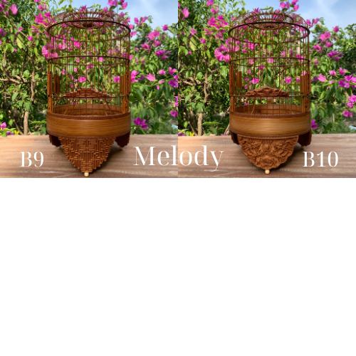 Lồng chim khuyên Melody. Lồng chim khuyên đục 3D sắc nét