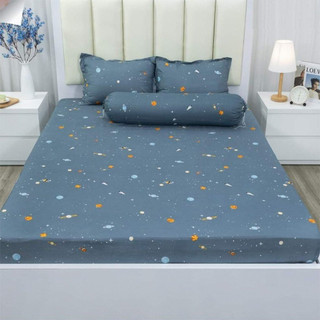 Bộ Ga Gối Cotton Poly Mẫu ẾCH XANH